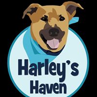 Harley’s Haven Dog Rescue