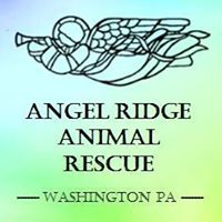 Angel Ridge Animal Rescue