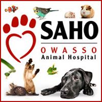 SAHO – Small Animal Hospital of Owasso