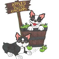 Apple’s Puppy Orchard