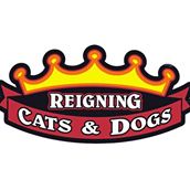 Reigning Cats and Dogs Pet Resort