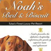 Noah’s Bed and Biscuit – Tulsa’s Finest Luxury Pet Resort