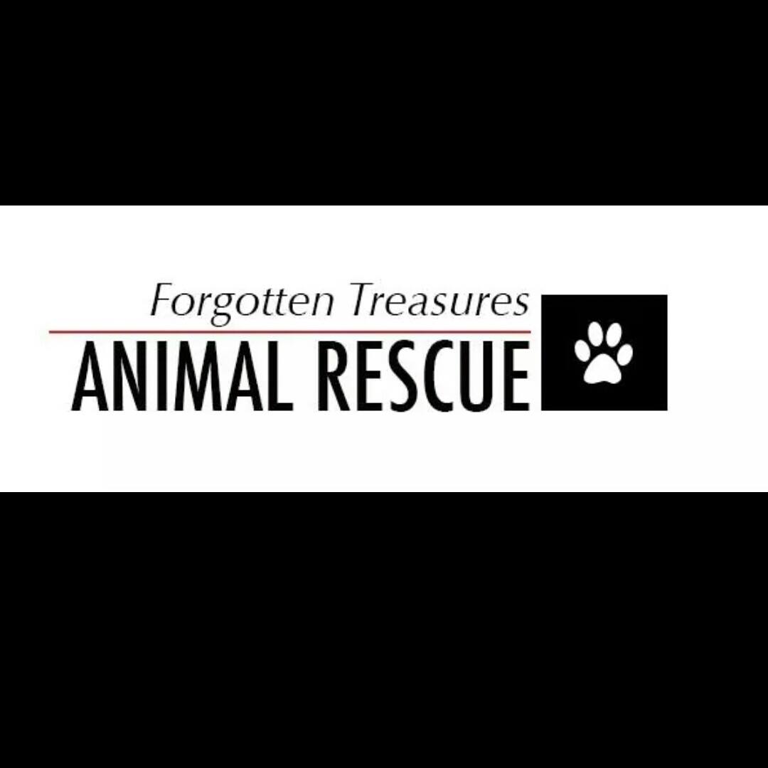 Forgotten Treasures Animal Rescue
