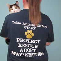 Tulsa Animal Welfare Lost and Found