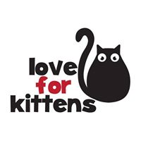 Love For Kittens