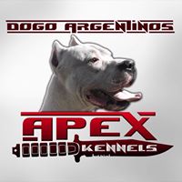 Apex Kennels