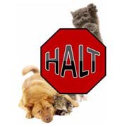 HALT – Help Animals Lives Today