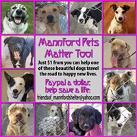 Mannford, OK Animal Shelter Friends Foundation