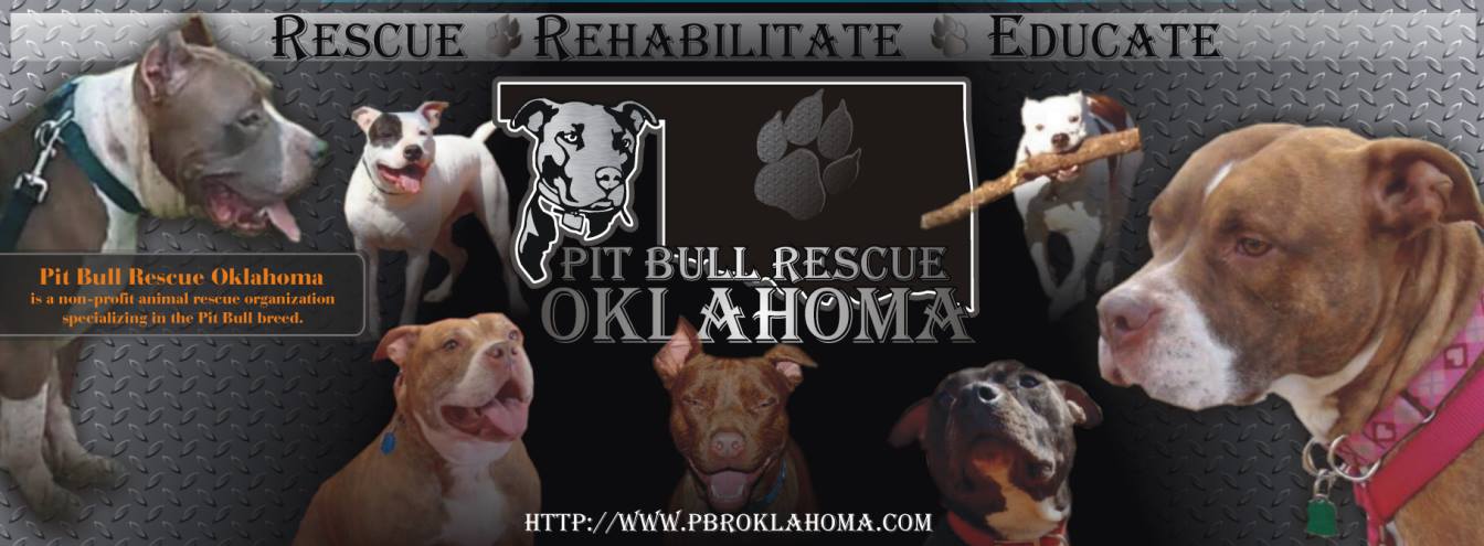 Pit Bull Rescue Oklahoma