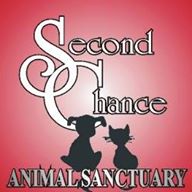 Second Chance Animal Sanctuary
