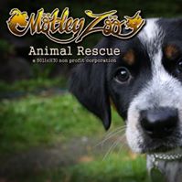 Motley Zoo Animal Rescue
