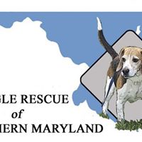 Beagle Rescue of Southern Maryland (BRSM), Inc.