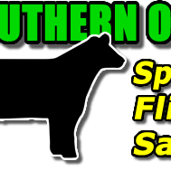 Lawrence County Ohio Spring Fling Club Calf Sale