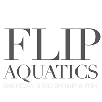 Flip Aquatics