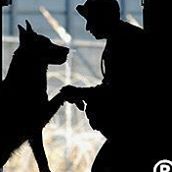Support Military Working Dogs