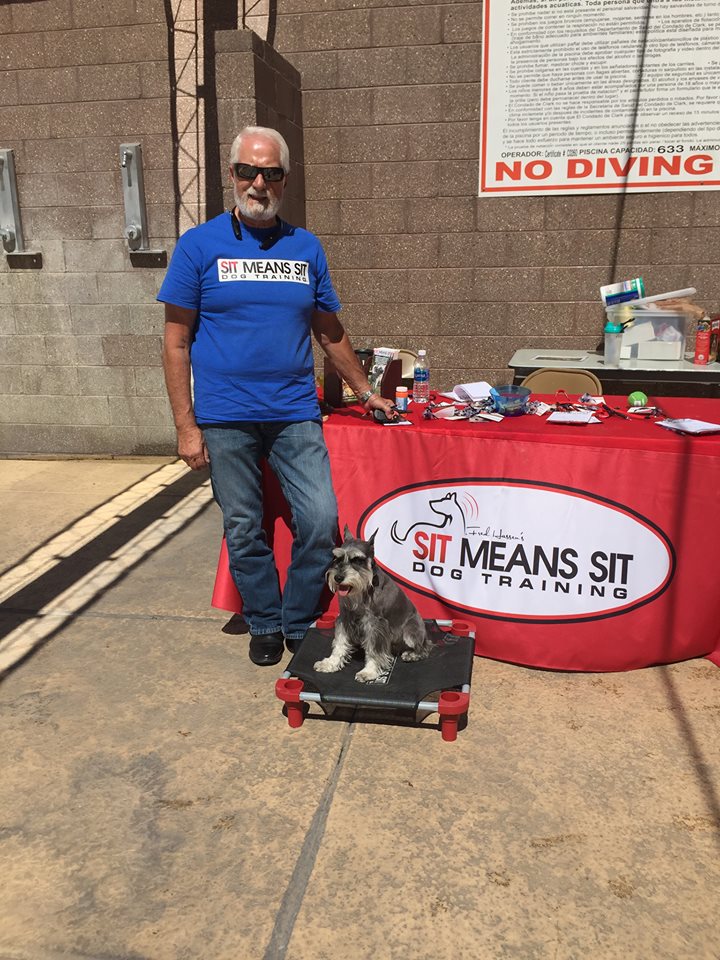 Sit Means Sit South West Las Vegas