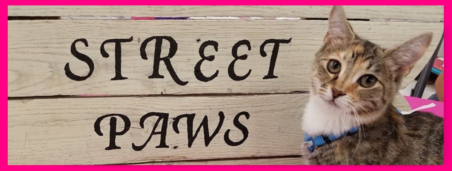 Street Paws