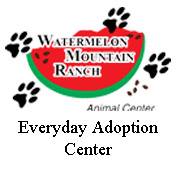 Watermelon Ranch Everyday Adoption Center