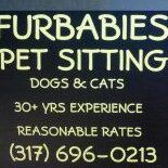 Furbabies PET Sitting
