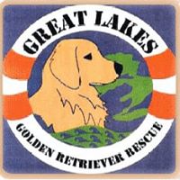 Great Lakes Golden Retriever Rescue