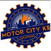 Motor City K9 Solutions