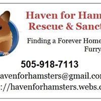 Haven for Hamsters Rescue & Sanctuary