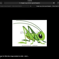 GRASSHOPPER SALON & SPA