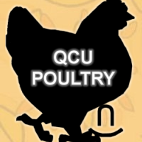 QCU Poultry