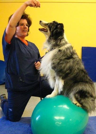 Canine Rehabilitation & Arthritis Center