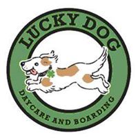 Lucky Dog Daycare & Boarding