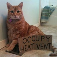 Fans of Hounds’ Haven