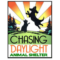 Chasing Daylight Animal Shelter