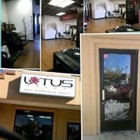 Lotus Salon LLC