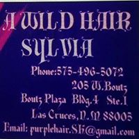 A WILD HAIR – Las Cruces, NM