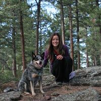 The Boulder Tail Waggin’, LLC