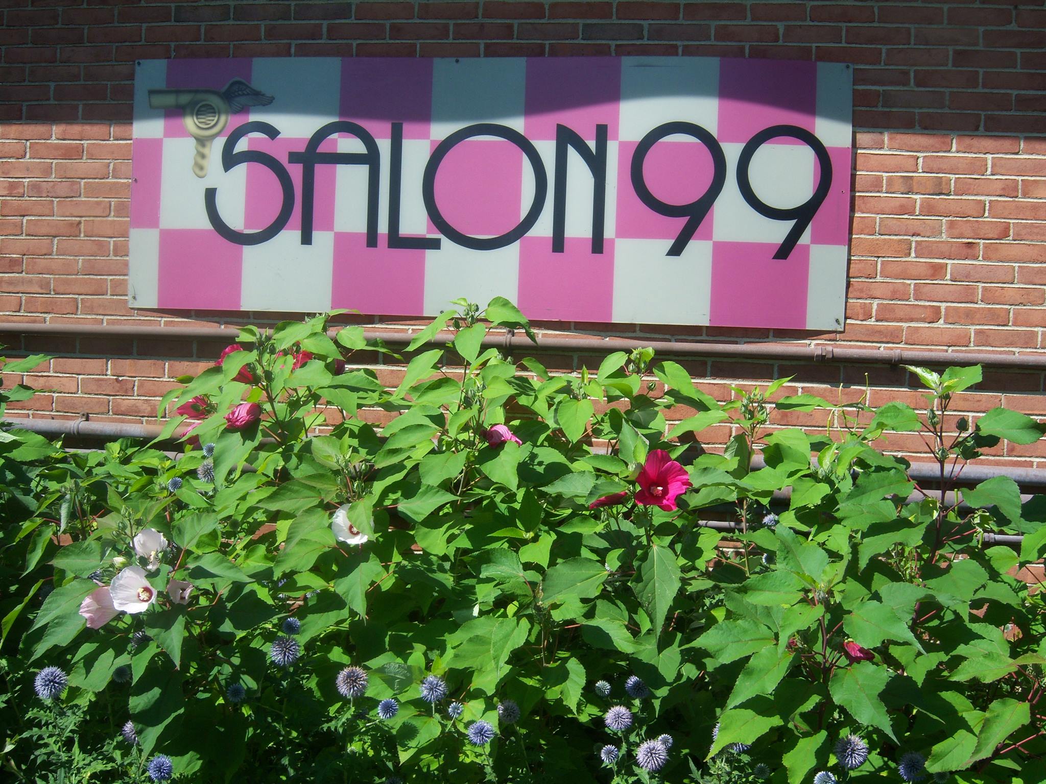 Salon 99 Salem NH