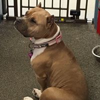 Vernon Veterinary Clinic