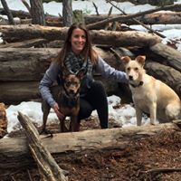 Dog Walker, Front Ranger