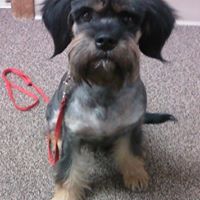 Northwest Kansas Animal Shelter