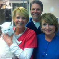 Brandon Animal Hospital