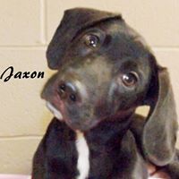 Oxford-Lafayette Humane Society