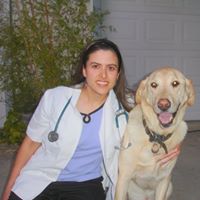 Dr. May’s Veterinary House Calls
