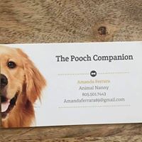 The Pooch Companion