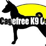 Cagefree K-9 Camp
