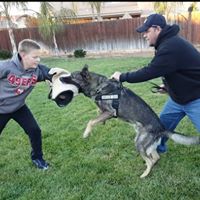 Dark River K9 Training Academy