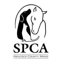 SPCA of Hancock County