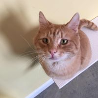 Ark Animal Sanctuary