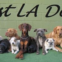 West La Dogs