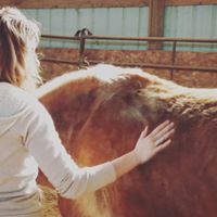 True Heart Equine Enrichment