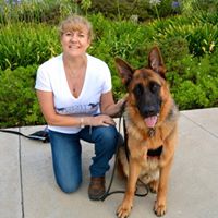 Meridus K9 & Equine, LLC